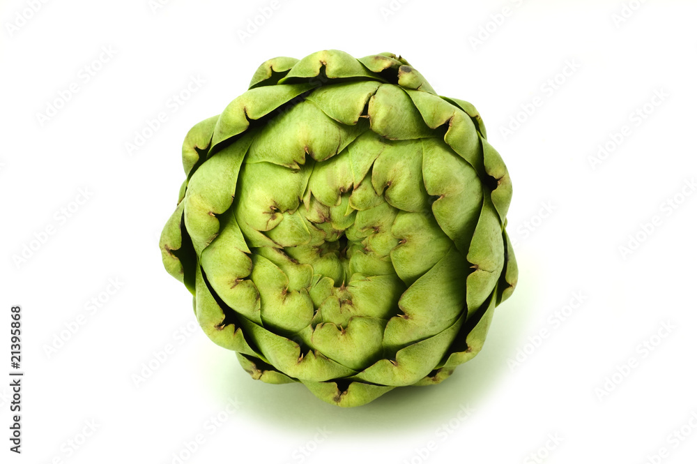 Fototapeta premium Artichoke