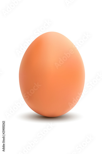 Chicken egg