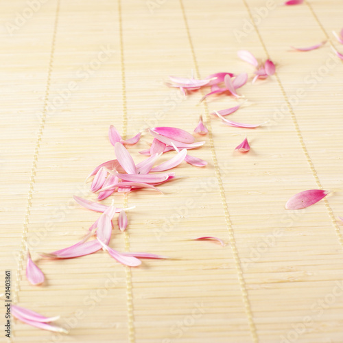 Spa image of pink petals