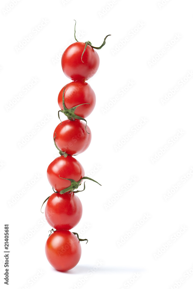 line of tomatoes isolated