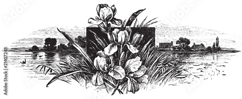 antique engraving (vector)