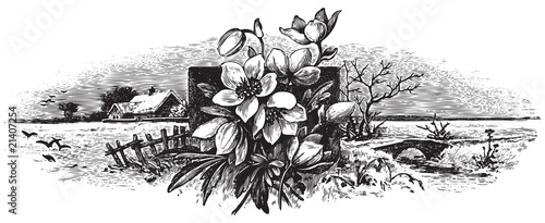 antique engraving (vector)
