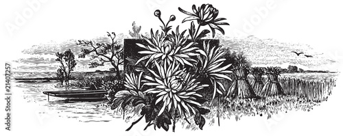 antique engraving (vector)