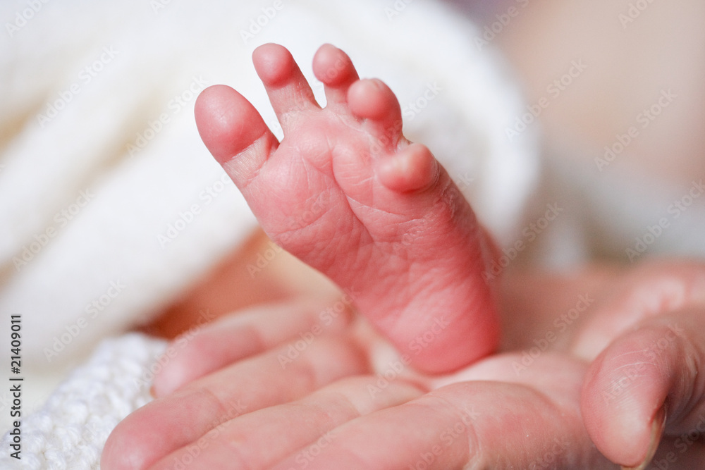 adorable newborn baby feet
