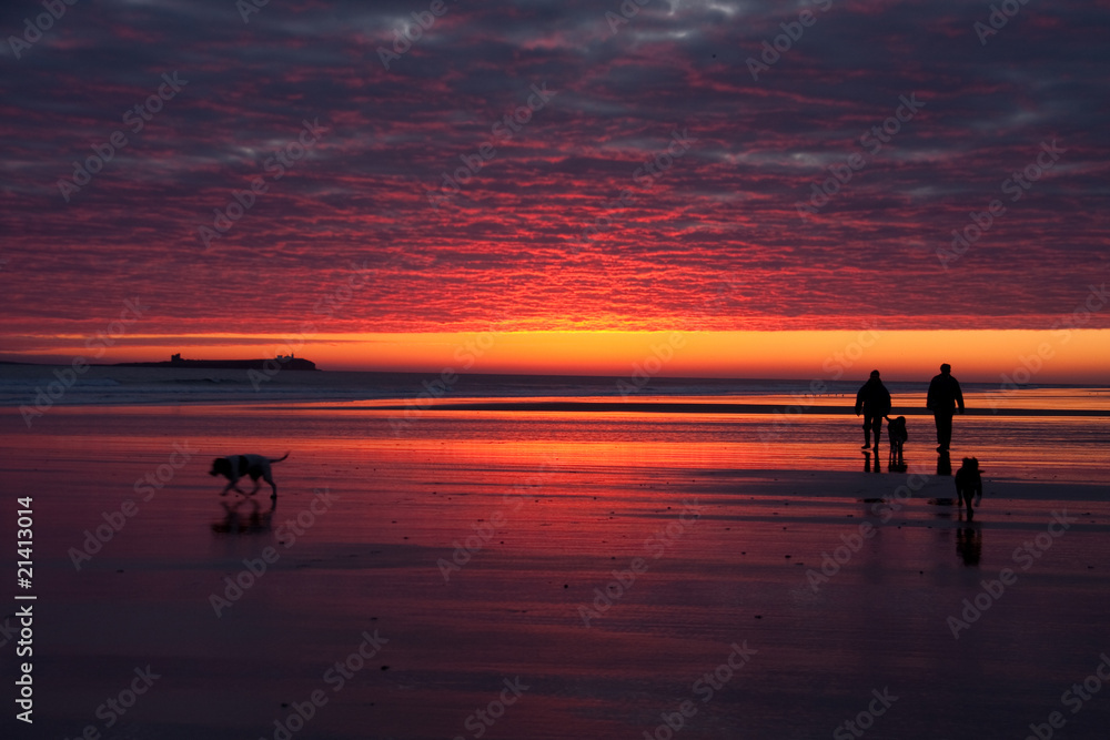 Fototapeta premium Bamburgh Sunrise