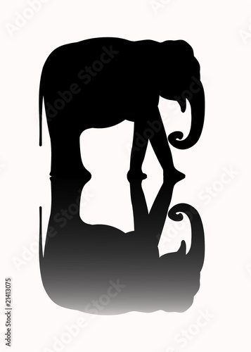elefante 01