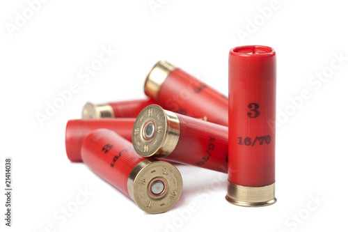 Принти на полотні shotgun cartridges isolated over white