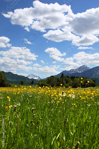 .Bergpanorama am Hopfensee photo