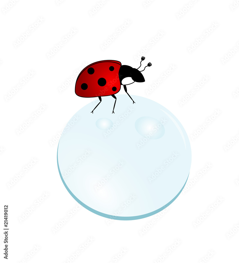 Fototapeta premium Ladybug on a bubble