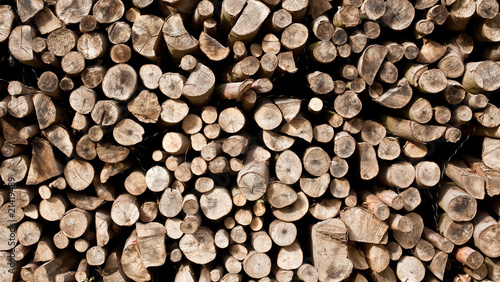 bois coupe for  t bucheron gestion arbre chauffage