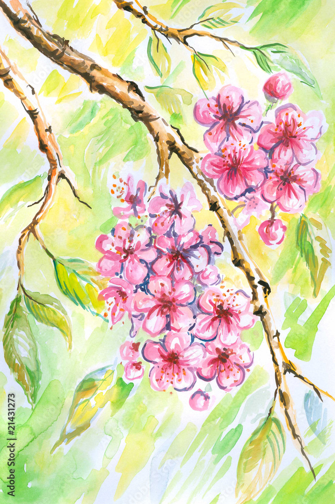 Pink flowers watercolor painted. Pink flowers watercolor painted.