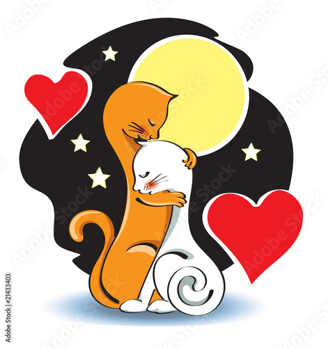 two cats