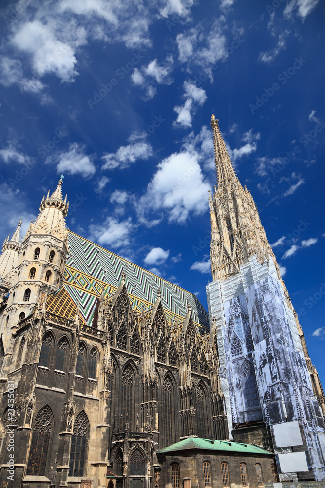 Fototapeta premium St. Stephan cathedral in Vienna