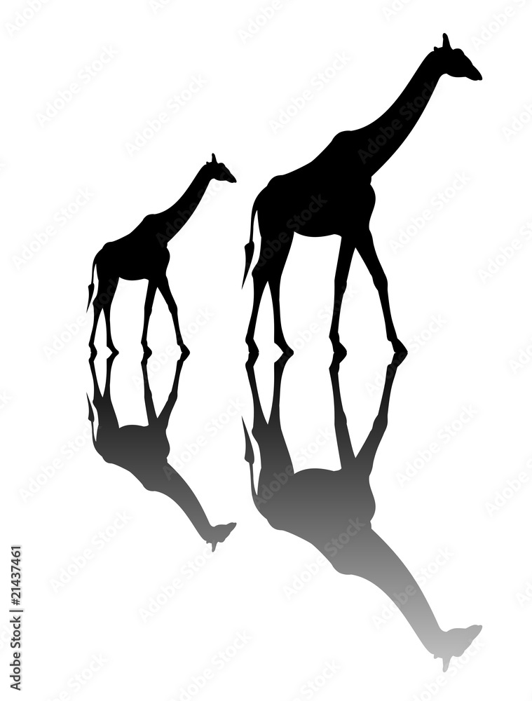 Obraz premium Giraffe 01