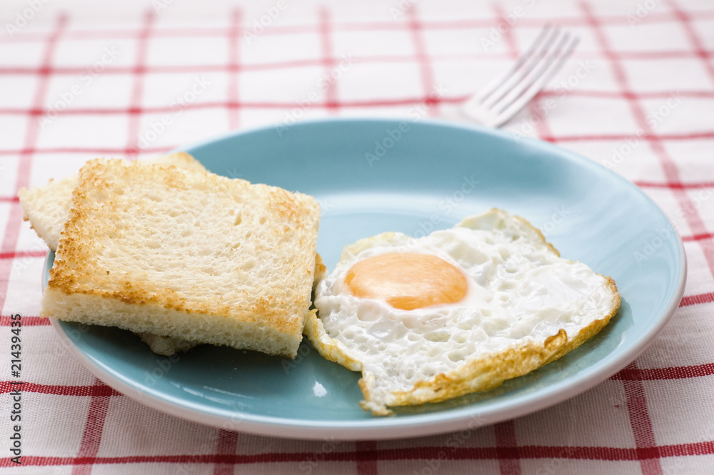 fried egg fried egg