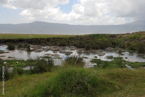 Ngorongoro-Krater