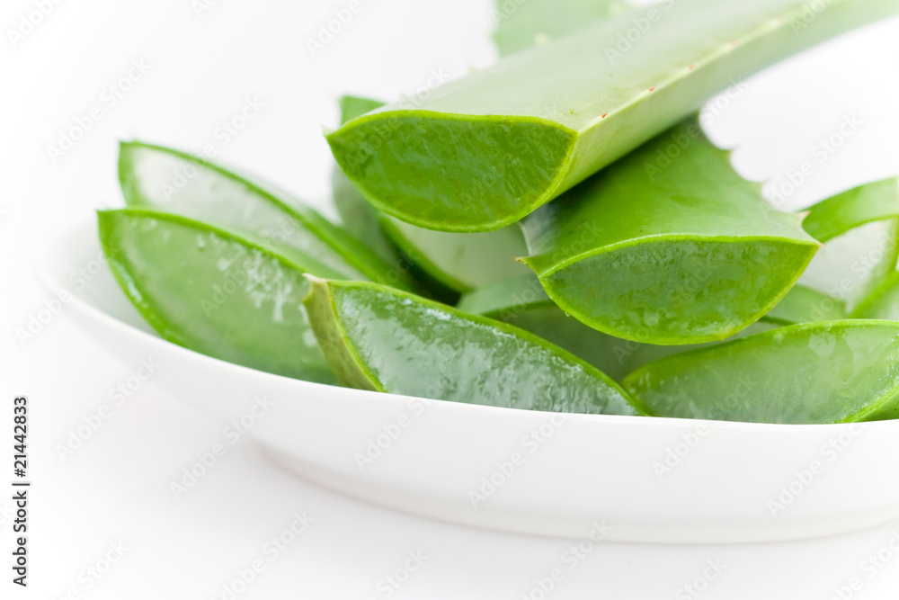 Obraz premium Coupe d'Aloe Vera