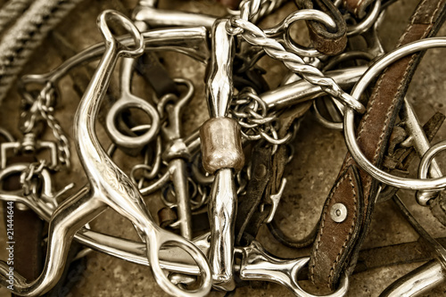 Horse Bits, Tack Leather & Rope (Sepia)