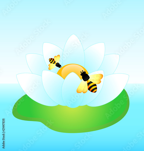 Funny bee and lily