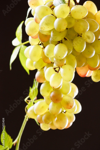bunch of fresh grapes.