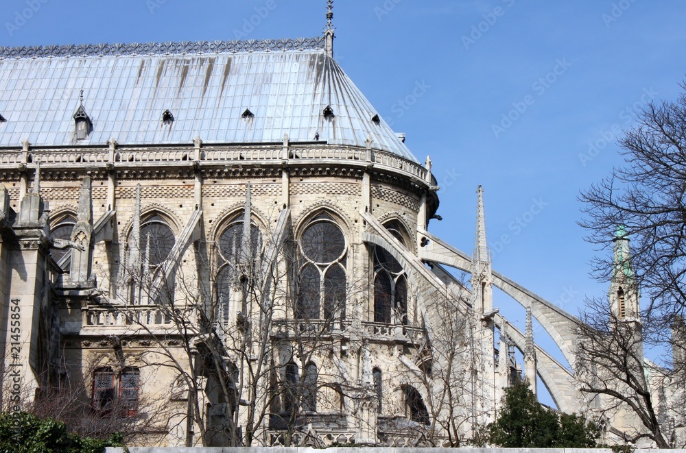 Strebewerk der Kathedrale NotreDame de Paris StockFoto Adobe Stock