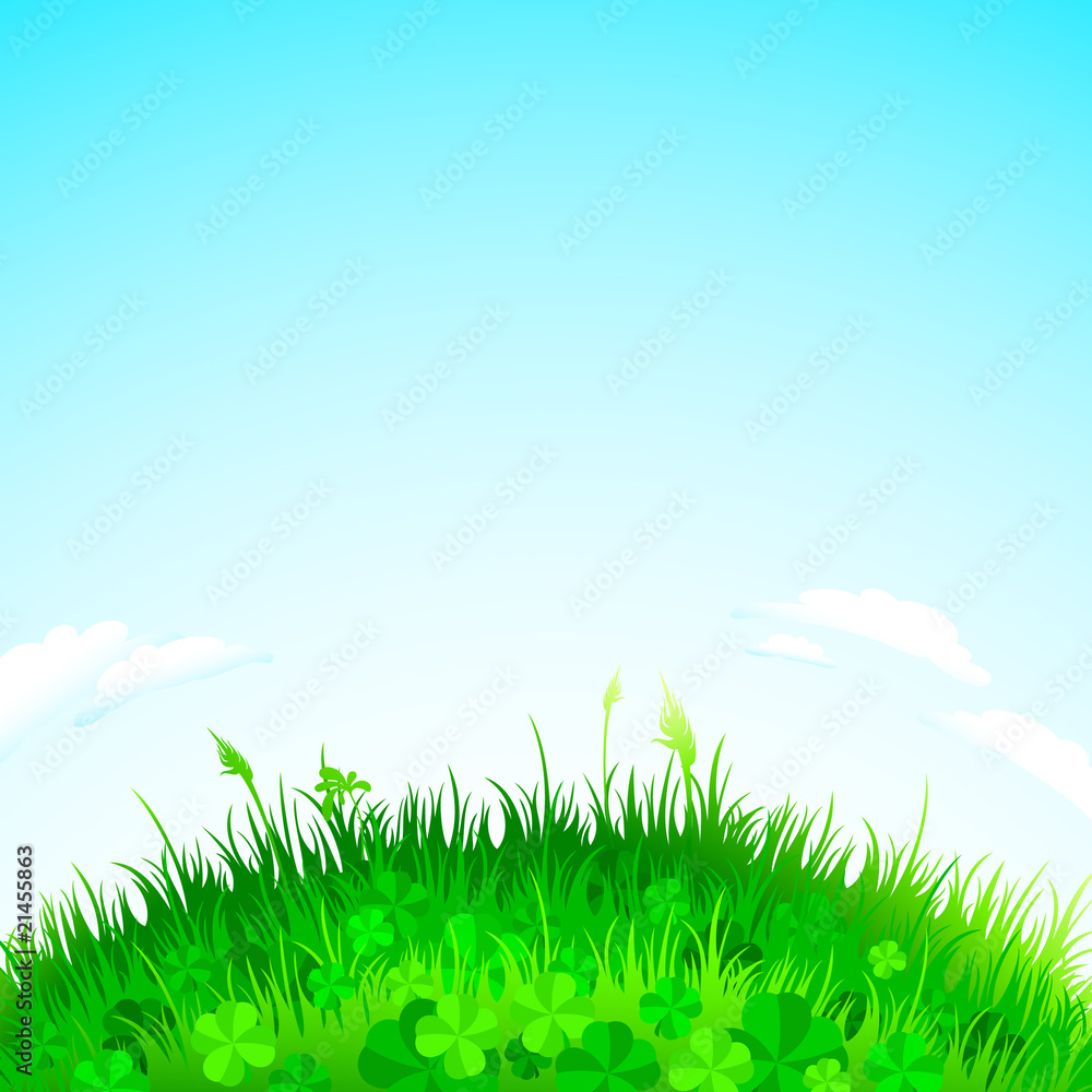 Obraz premium background grass
