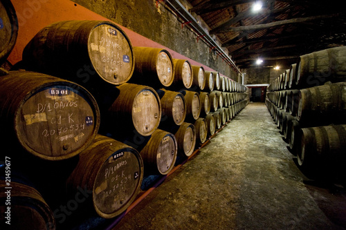 Obraz na plátně Burmester winery, Porto, Douro Province, Portugal