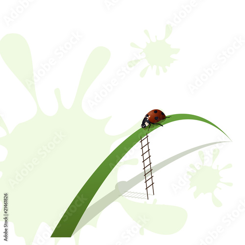 Ladybird and stairway