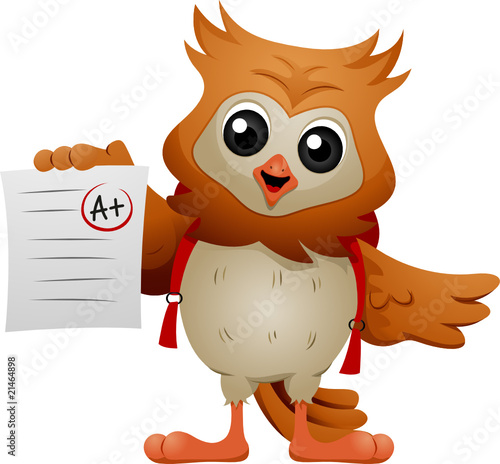 Owl Student