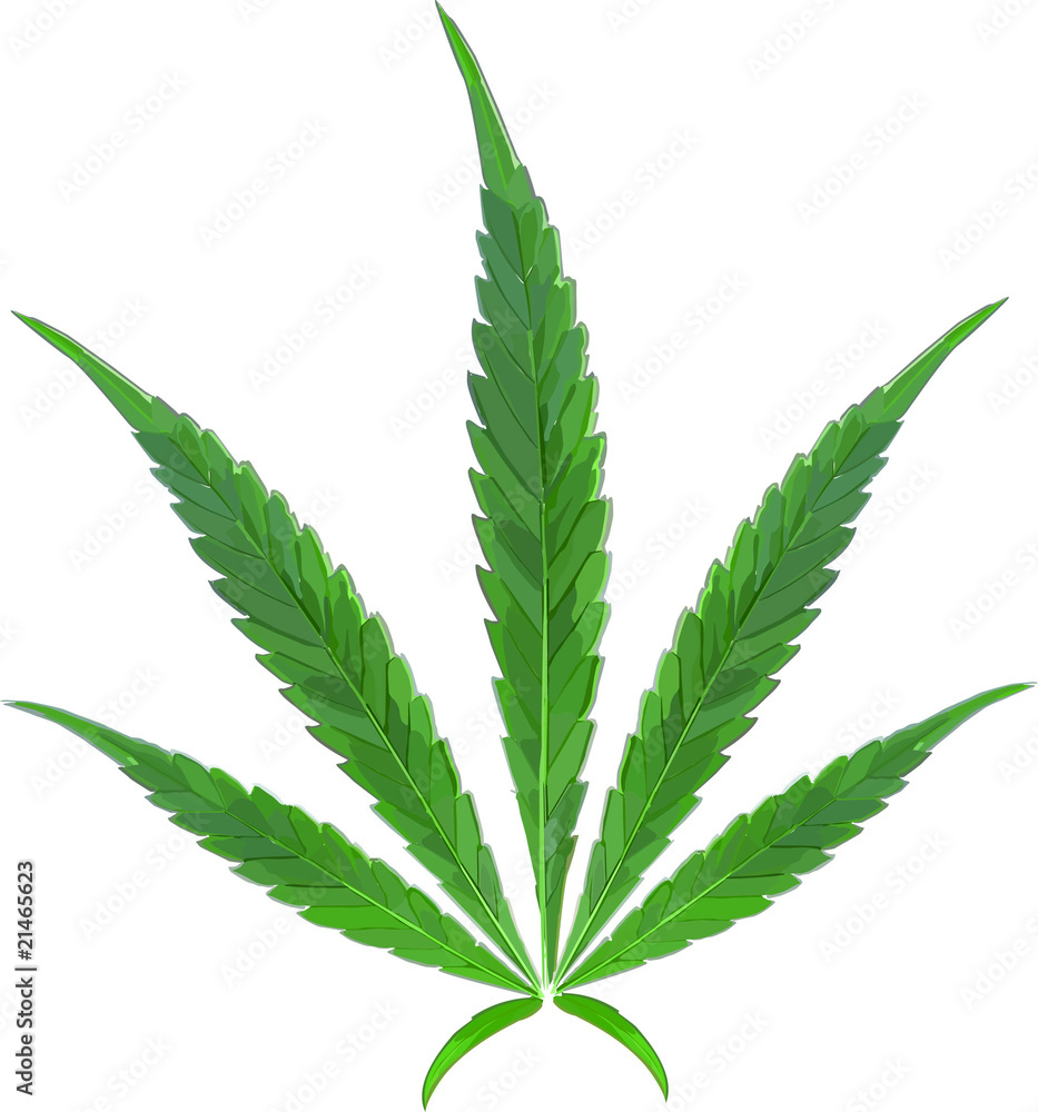 Leaf Leaf