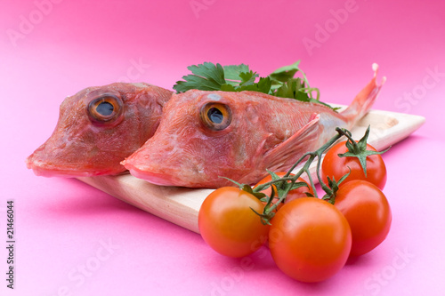 Foto Red Gurnard Fish And Tomatoes