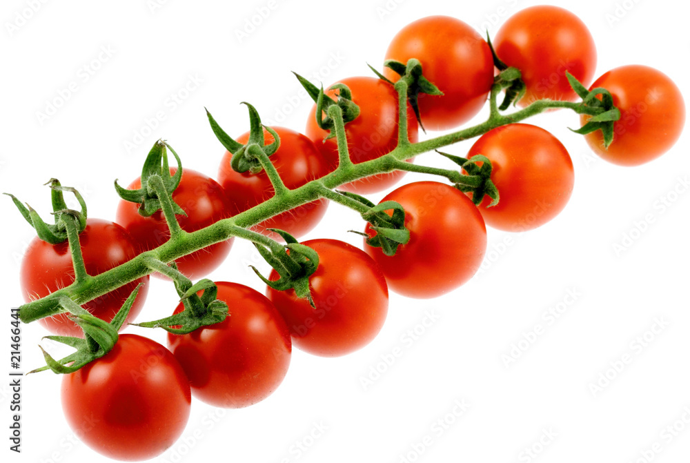 tomates cerises en grappe, fond blanc