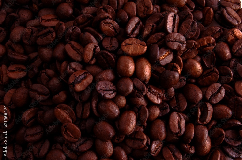 Fototapeta premium Beans of coffee