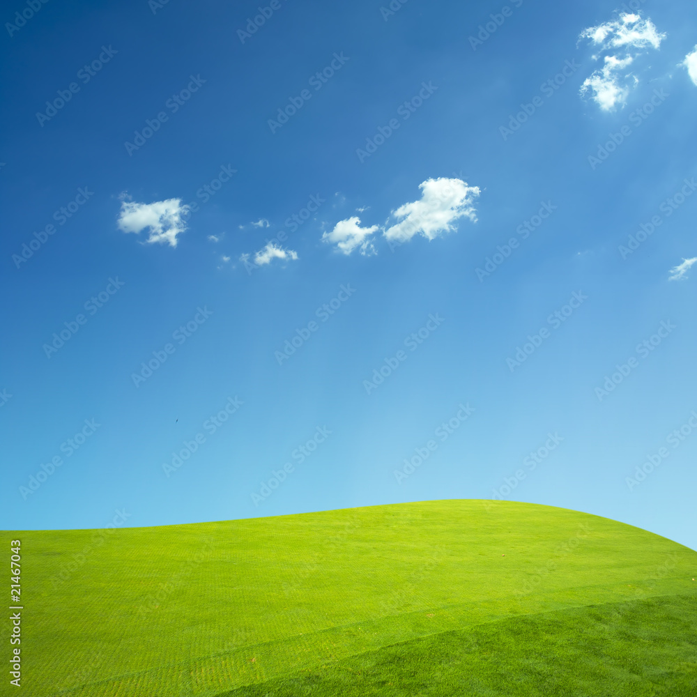 Fototapeta premium Green grass and blue sky