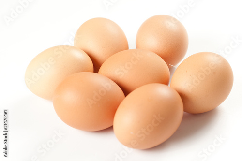 raw brown egg isolated