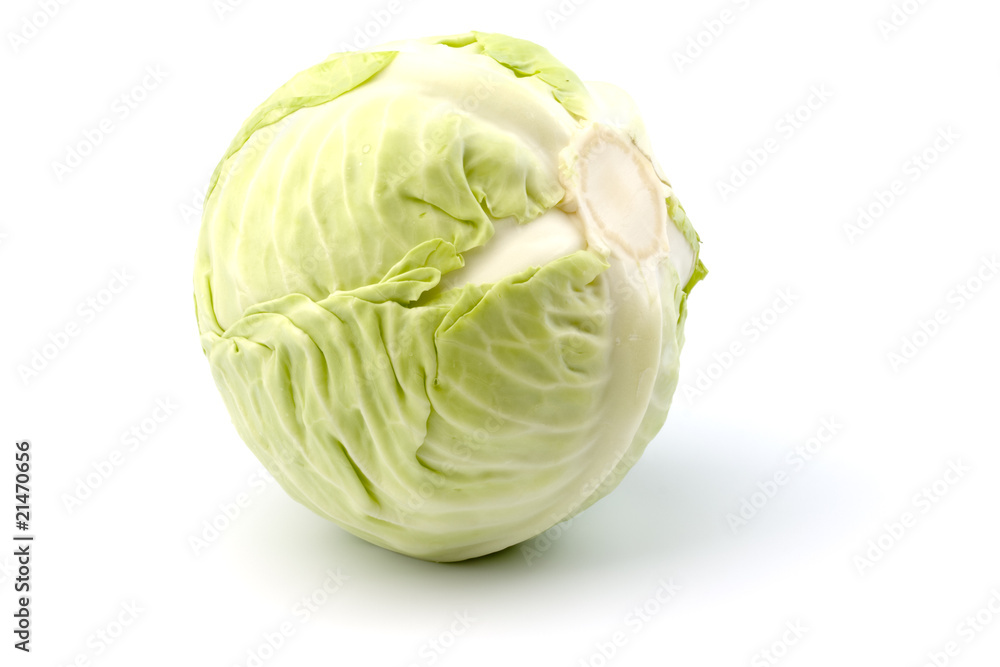 cabbage cabbage