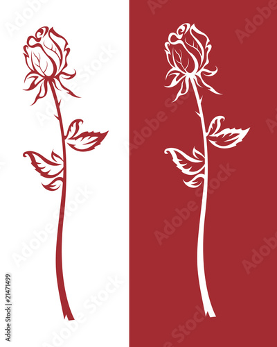 rosebud