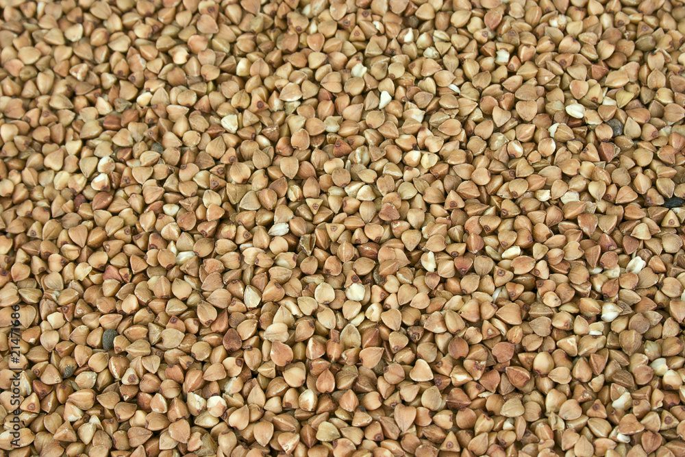 buckwheat buckwheat