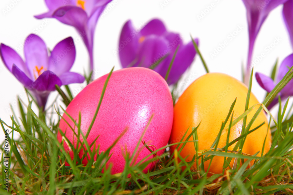 ostern,frühling ostern,frühling