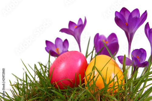 ostern,eier