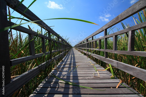 Wood bridge,Thailand