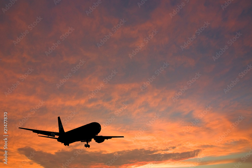 Fototapeta premium Airplane