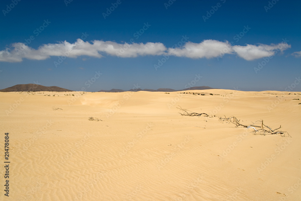 Dunes in the Fuerteventura desert Dunes in the Fuerteventura desert