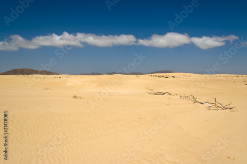 Dunes in the Fuerteventura desert