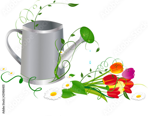 arrosoir et bouquet de tulipes