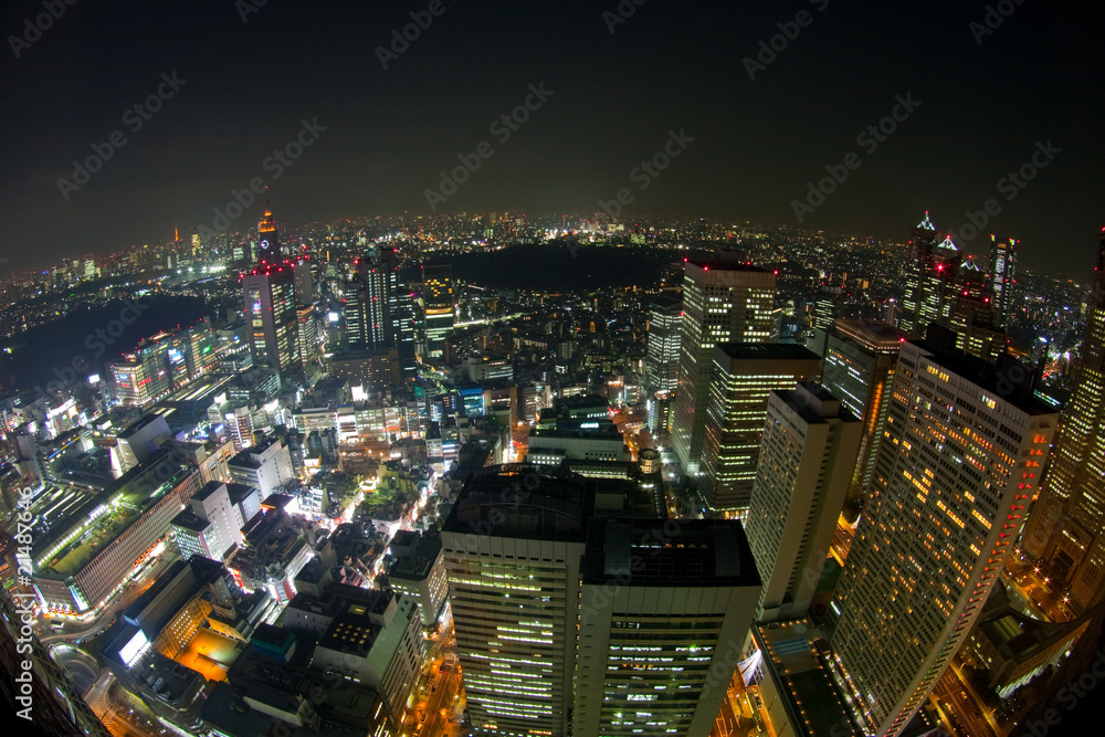 Naklejka premium 東京 新宿の夜景(魚眼レンズ)