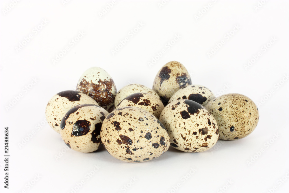 Eggs of japanese quail Eggs of japanese quail