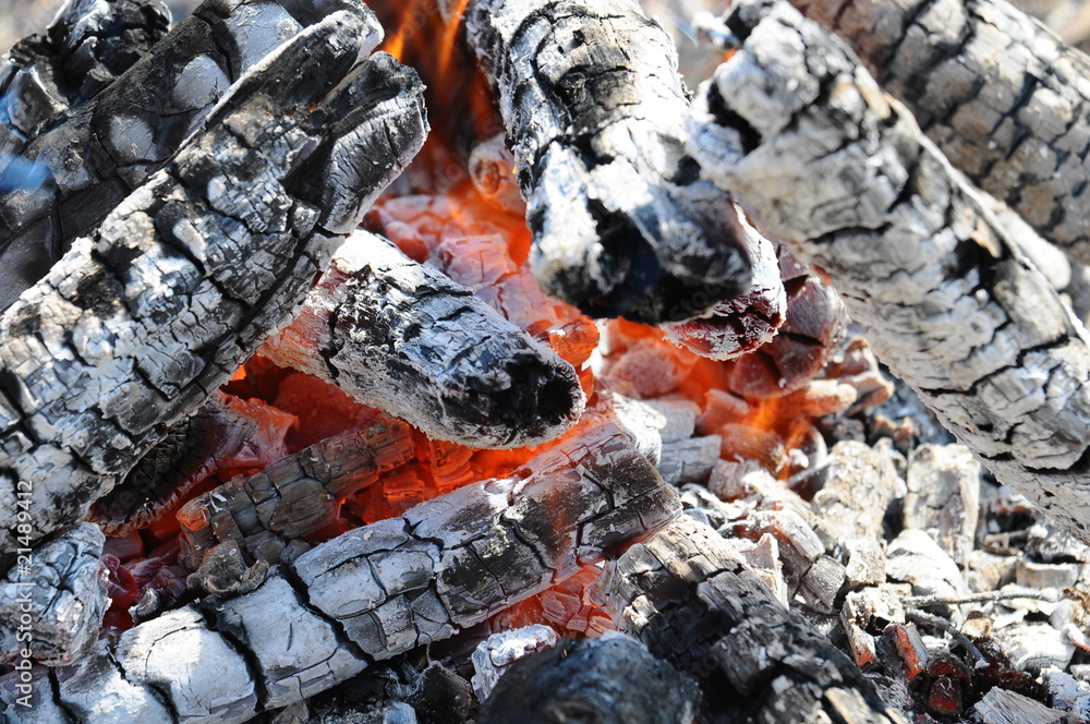 Coal resulted from burned wood for barbecue Coal resulted from burned wood for barbecue