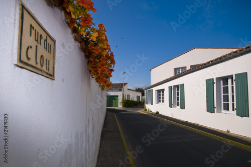 Obraz na plátně Ruelle lE BOIS PLAGE EN RE - Ile de Ré - France