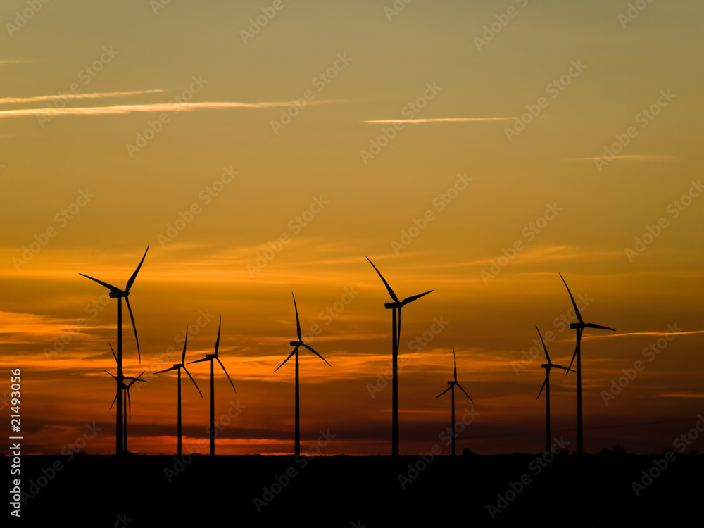 Wind farm at sunset Wind farm at sunset